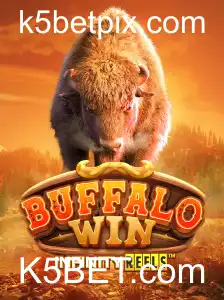 Explore o Fascinante Jogo BuffaloWin na Plataforma K5BET.com